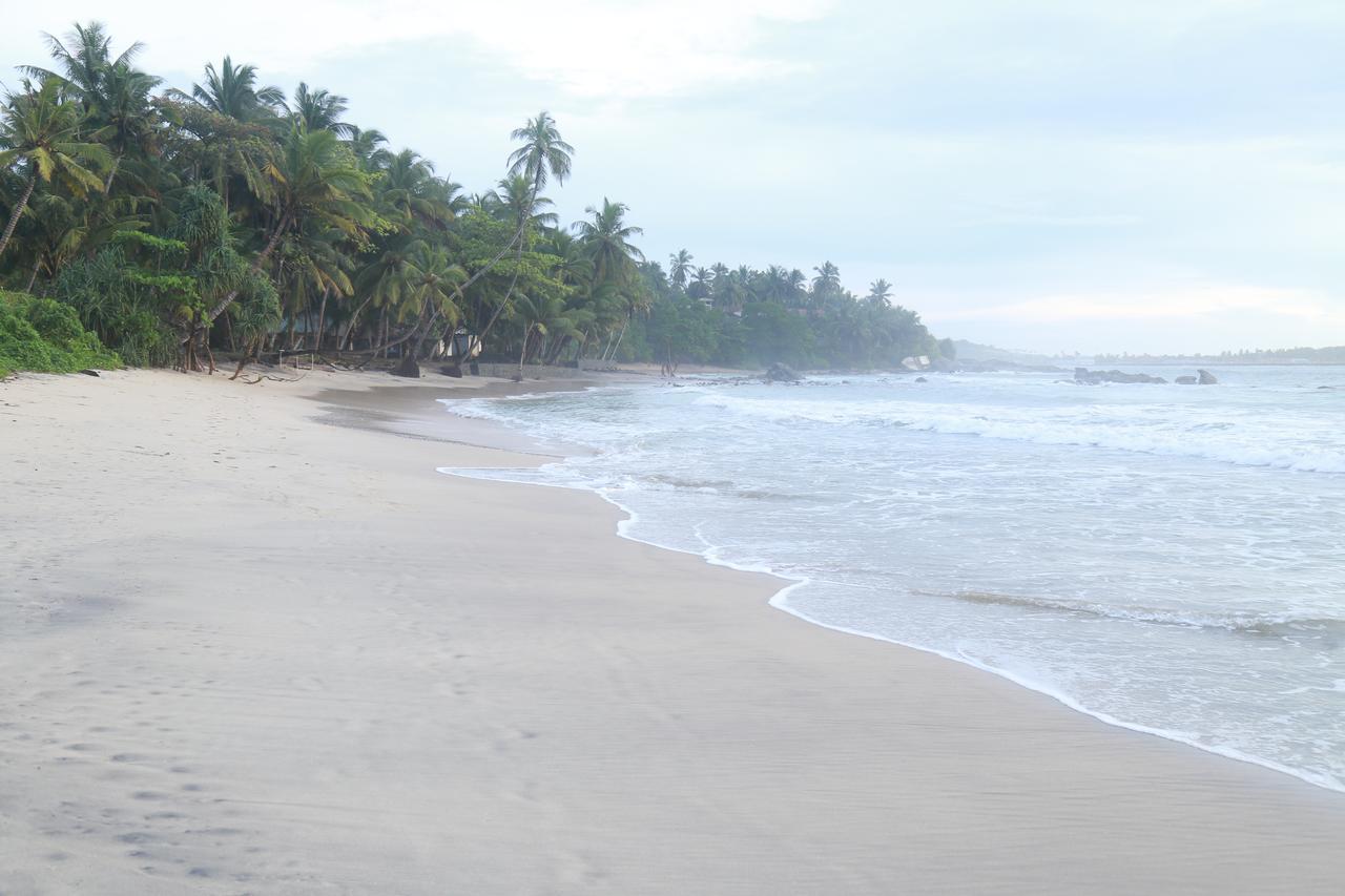 Serene Beach Hotel Dikwella Exterior foto